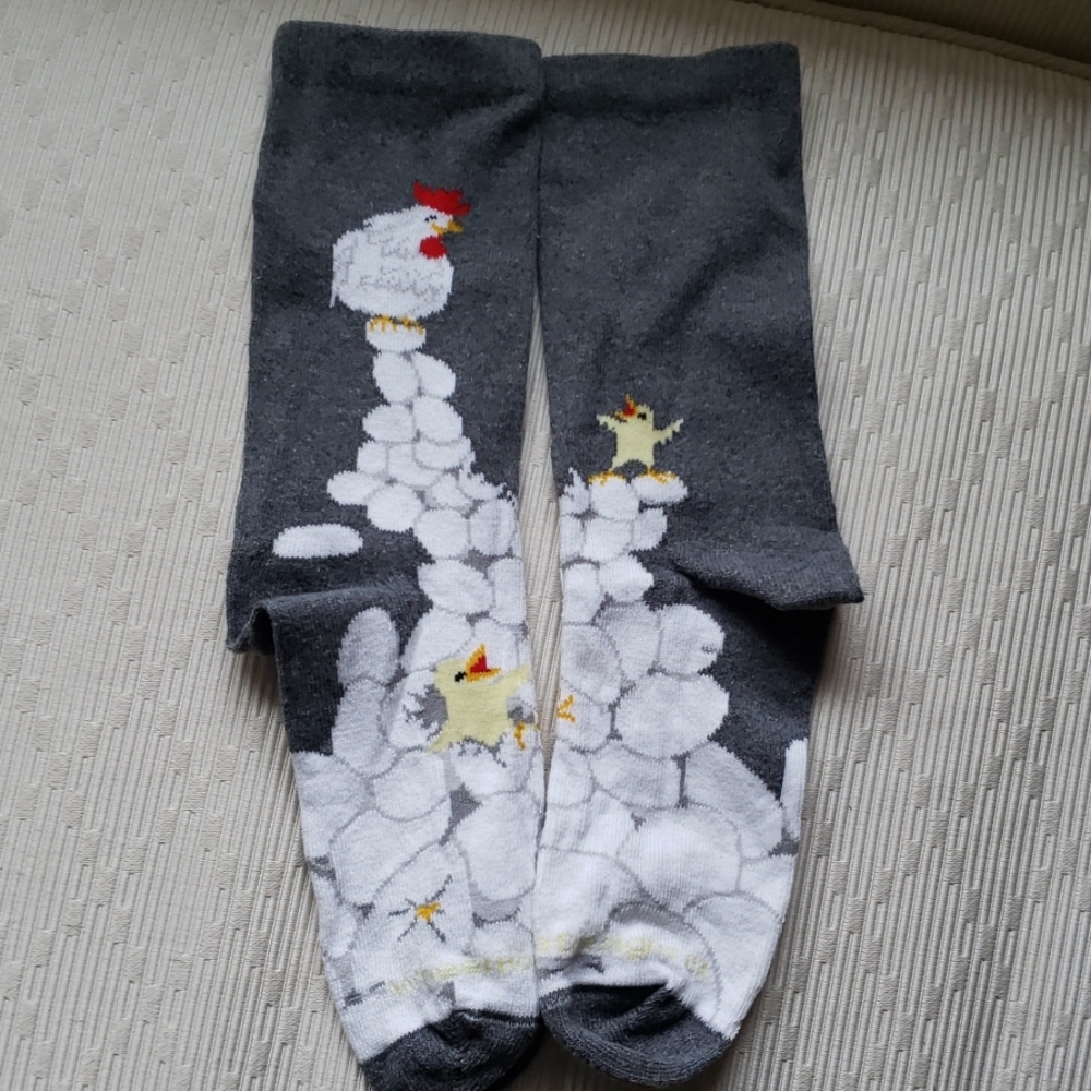 New Chickens & Eggs socks - Picture 5 of 5